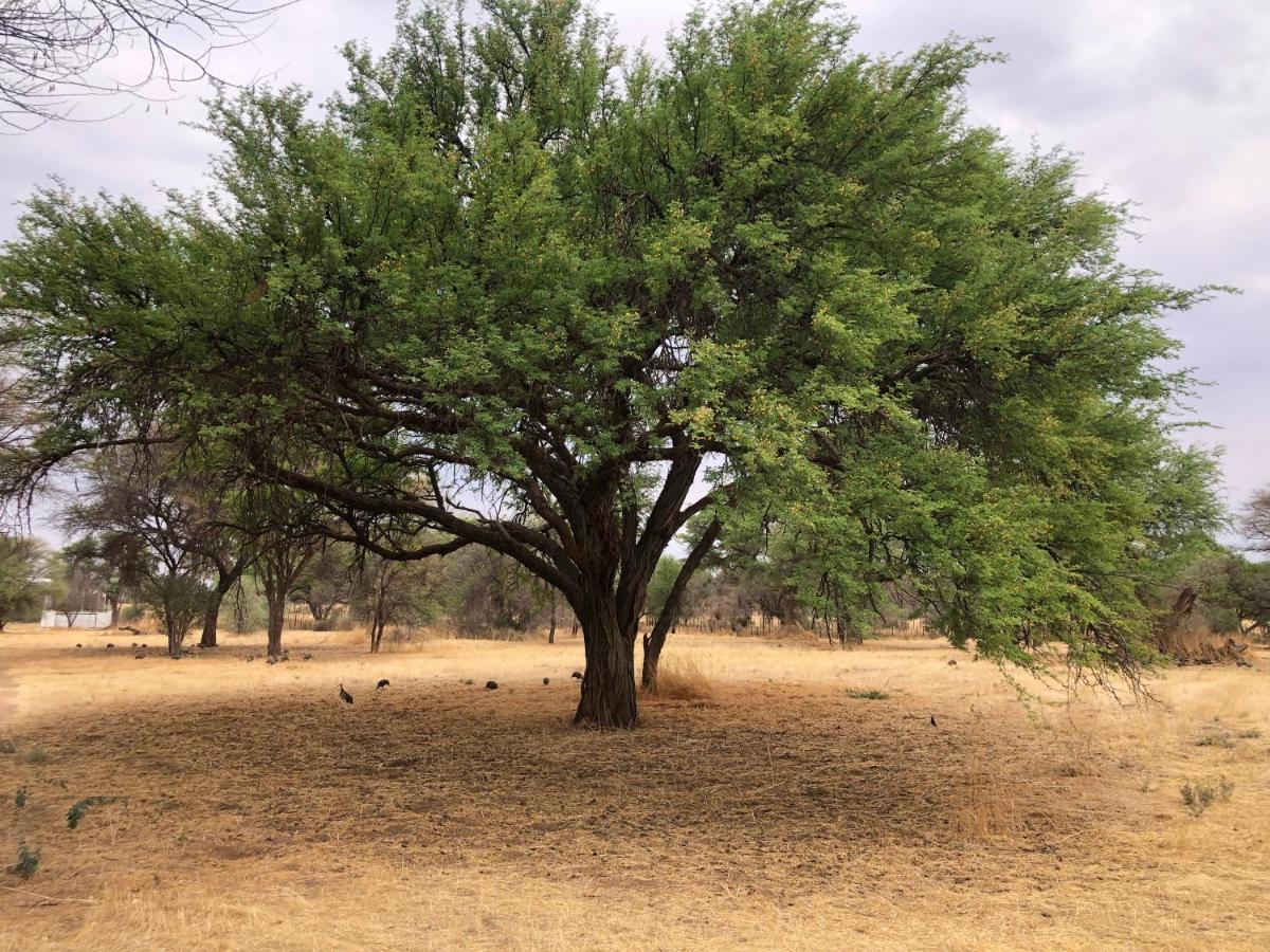Okahandja Country Hotel 外观 照片